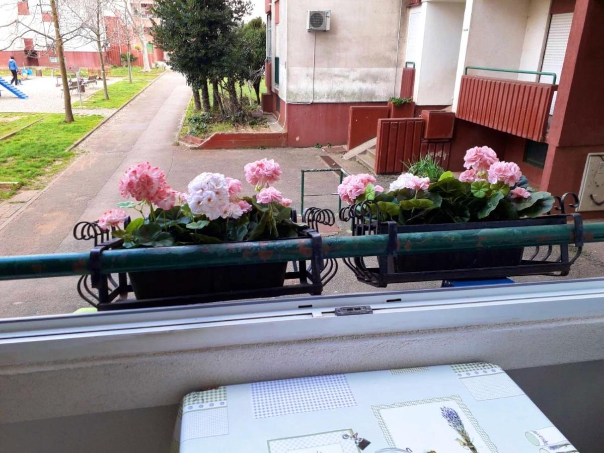 Marko Apartma Pula